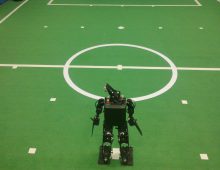 Pan Tilt Camera Calibration for Humanoid Robot